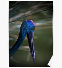 Blue Poster