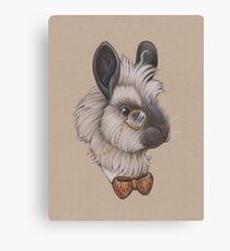 Color Sergeant Bunedict Carrotpatch Canvas Print