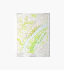 USGS TOPO Map Illinois IL Olmsted 308369 1967 24000 Art Board