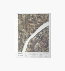 USGS TOPO Map Illinois IL Olmsted 20100329 TM Art Board