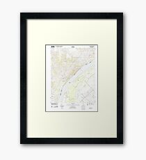 USGS TOPO Map Illinois IL Olmsted 20120808 TM Framed Print