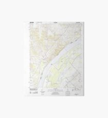 USGS TOPO Map Illinois IL Olmsted 20120808 TM Art Board