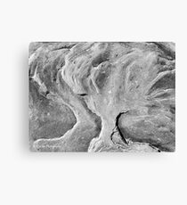 Me and My Shadow Canvas Print
