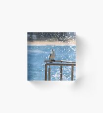 Splash! Acrylic Block