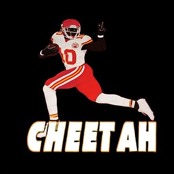 tyreek hill dolphins  Poster for Sale by beekayprints