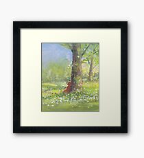 Fletcher fox behind a tree Framed Print