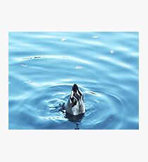 Dunk Photographic Print
