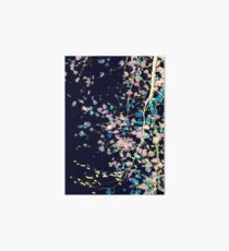 Nature Pattern # 4 - Birch (Blue) Art Board