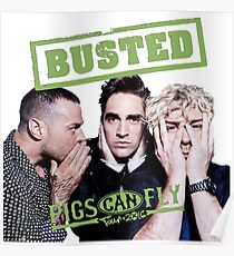 Busted Pigs Can Fly Poster
