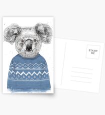 Winter koala Postcards