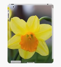 Daffodils iPad Case/Skin