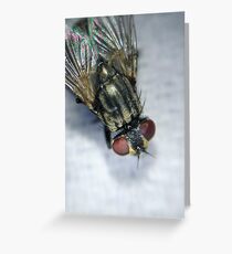 Time Flies Greeting Card