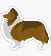 Shetland Sheepdog (sable) Sticker