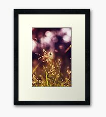 Tao Framed Print