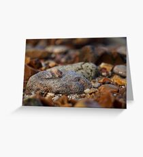 A Hermits Home. Greeting Card