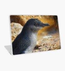 Little penguin (Eudyptula minor) - Penguin Island, Western Australia Laptop Skin
