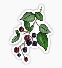 Bramble Sticker