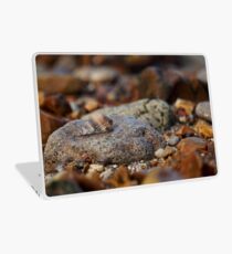 A Hermits Home. Laptop Skin
