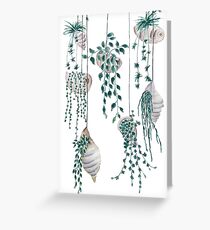 Hanging plants in seashells Greeting Card