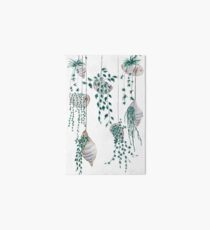 Hanging plants in seashells Art Board