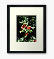 Holly Framed Print