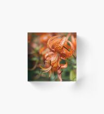 Orange Tiger Lily Flowers Acrylic Block