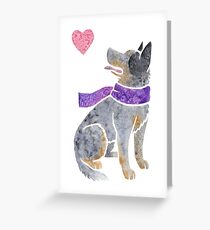Watercolour Australian Cattle Dog Greeting Card