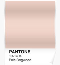 Blasses Hartriegel Pantone Poster