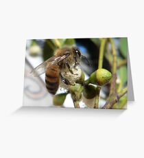Bee VI Greeting Card