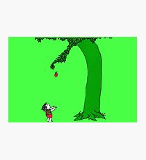 Lámina fotográfica El árbol que da