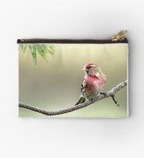 Lesser Red Poll - Carduelis Cabaret Studio Pouch
