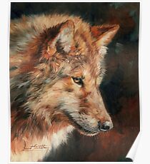 Wolf Portrait Poster