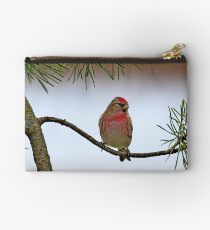 Lesser Red Poll - Carduelis Cabaret Studio Pouch