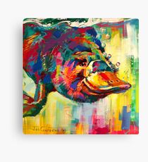 Duck-Billed Platypus - Australian mammal Canvas Print