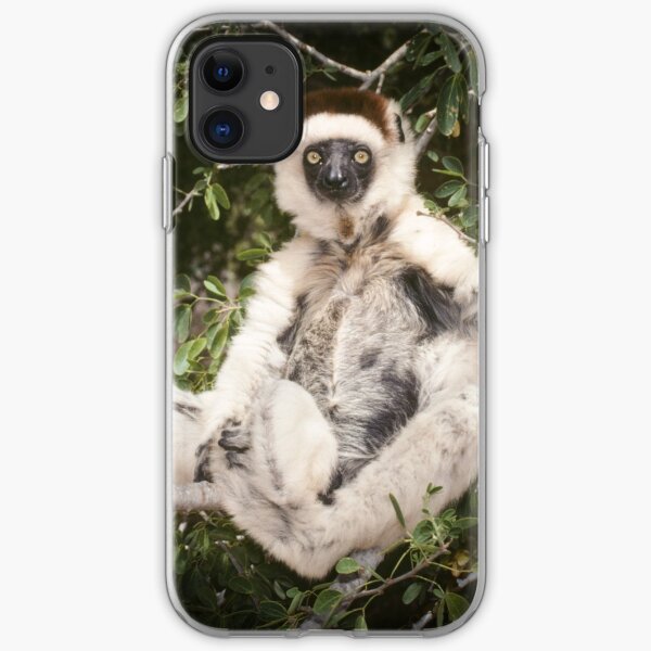 The sifaka will see you now iPhone Soft Case