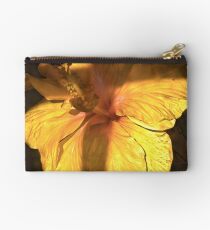 Last (?) from the D80 Studio Pouch