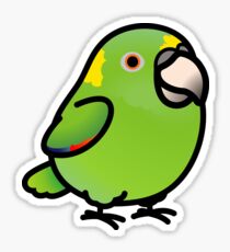 Yellow-naped Amazon Sticker