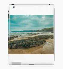 Devils Drop iPad Case/Skin