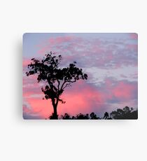 Northern Skies at Dusk Metal Print