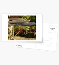 Uni Fountain Postcards