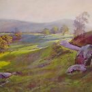 Fading Light - Trawool by Lynda Robinson