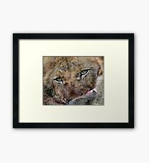A promise of things to come.... Framed Print