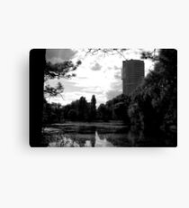 Scene Canvas Print