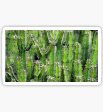 Euphorbia Sticker