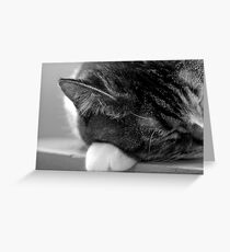 Nap Time Greeting Card