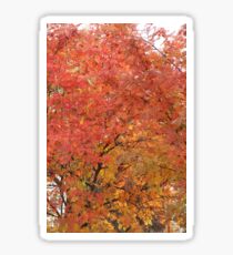 Mountain Ash Sticker