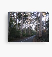 Reaching for the Sky Canvas Print