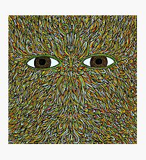 Flying lotus Photographic Print