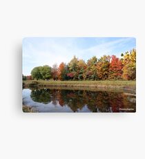 Mirror Image Canvas Print