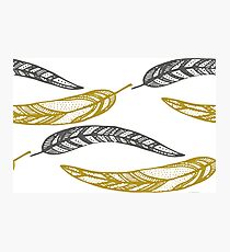 feathers, leaves, graphics Photographic Print